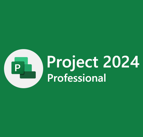 [Bind] Project 2024 Professional Activates 1 PC Online