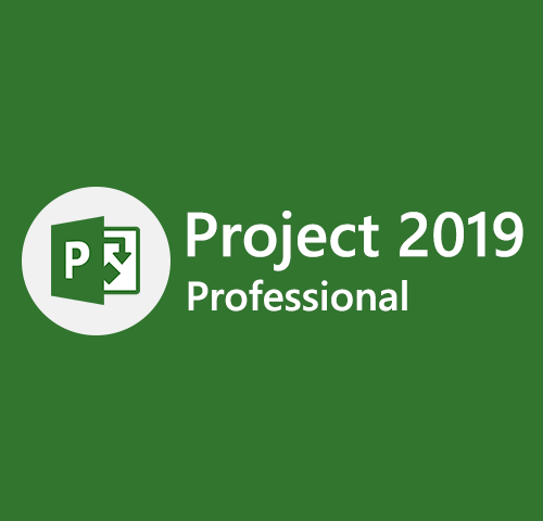 [Bind] Project 2019 Professional Activates 1 PC Online